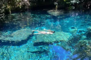 VLOG 14 Caribean Sea with Private Cenotes 5 600 X 400