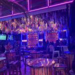 Best Night Life in Punta Cana 73 2022-12-30.jpg