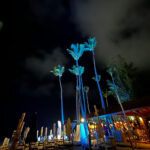 Beach Clubs 67 2023-03-20.jpg