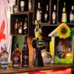 Best Night Life in Punta Cana 69 habana-537-bar-1-1.jpg