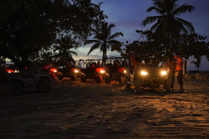 a group of palm trees on a cloudy night